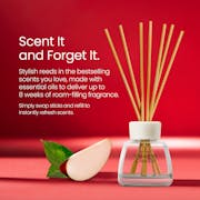 Macintosh