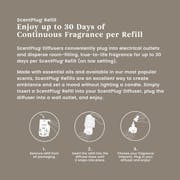 Campfire Nights